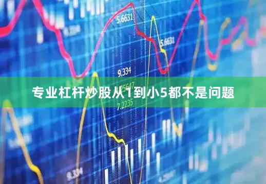 专业杠杆炒股从1到小5都不是问题