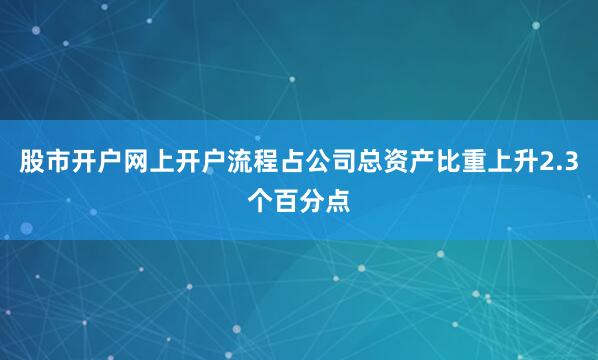 股市开户网上开户流程占公司总资产比重上升2.3个百分点