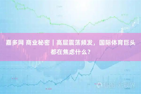 嘉多网 商业秘密｜高层震荡频发，国际体育巨头都在焦虑什么？