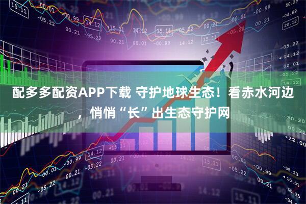 配多多配资APP下载 守护地球生态!看赤水河边,悄悄“长”出生态守护网